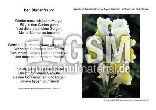 Der-Blumenfreund-Fallersleben.pdf